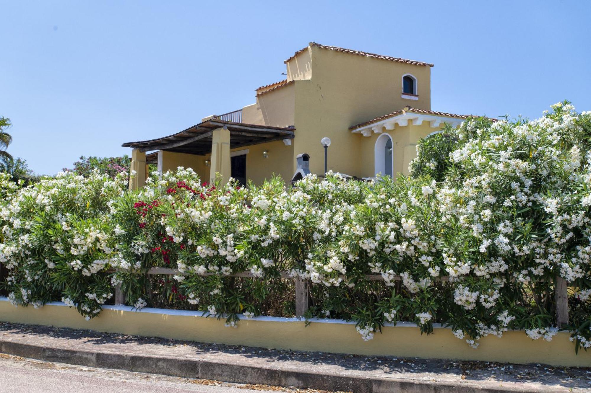 Villa Azzurra สตินติโน ภายนอก รูปภาพ